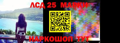 спайс Аша