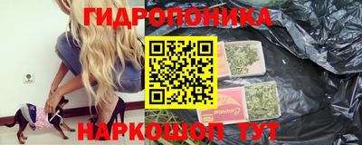 спайс Аша